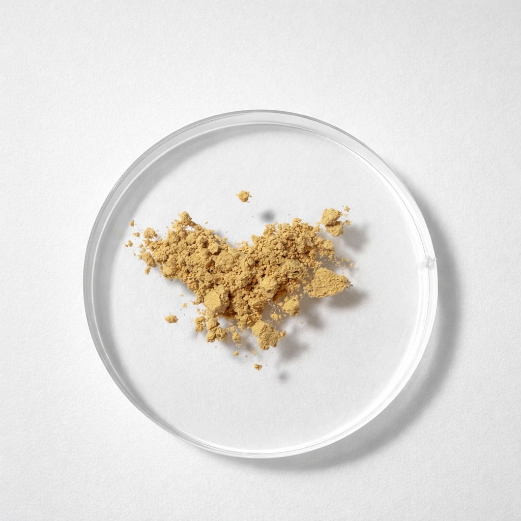 Lions Mane Mushroom Powder