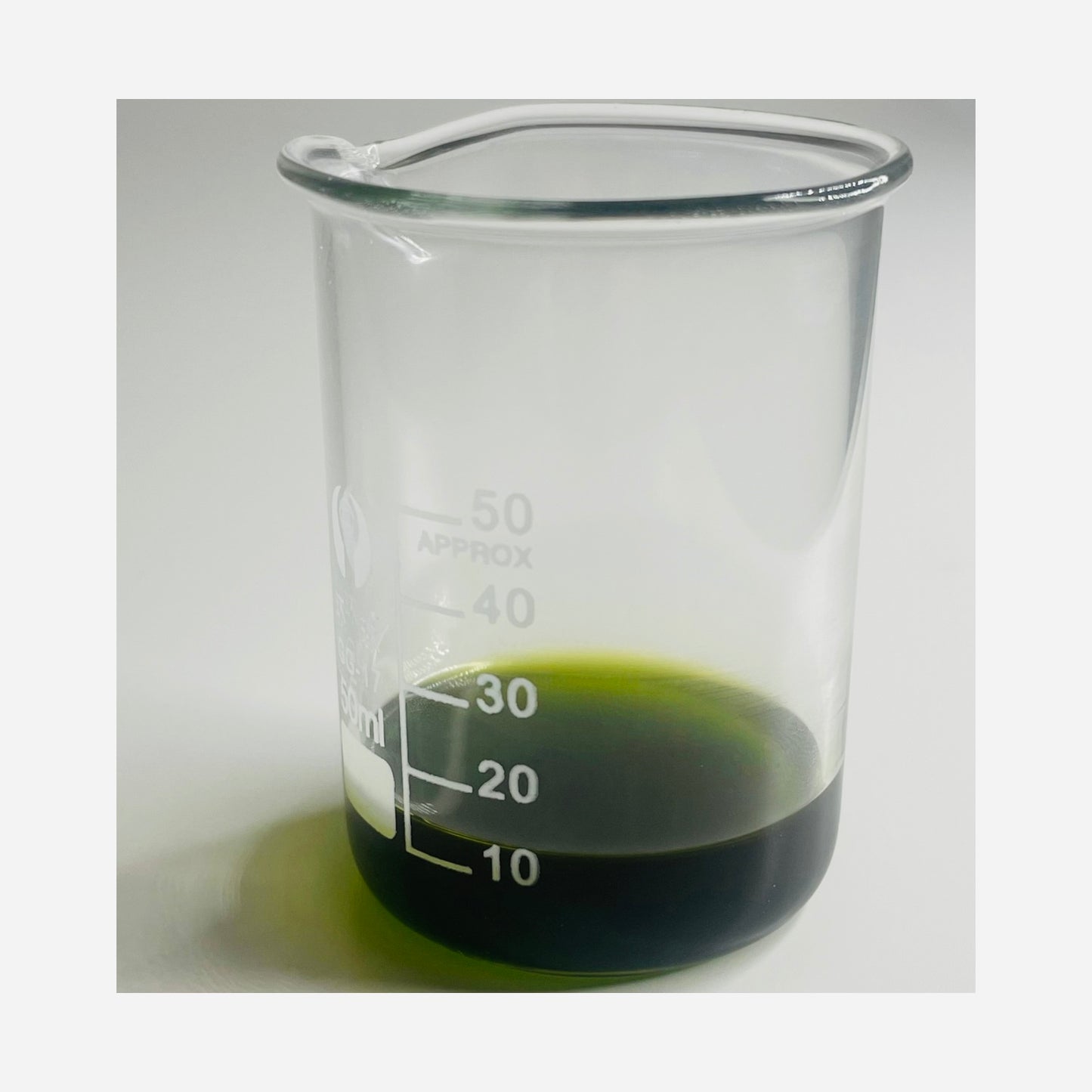 Nettle and Mint Chlorophyll