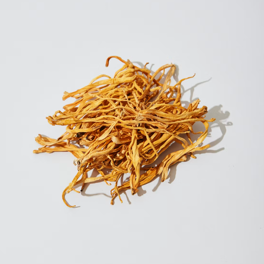Cordyceps Mushroom Extract