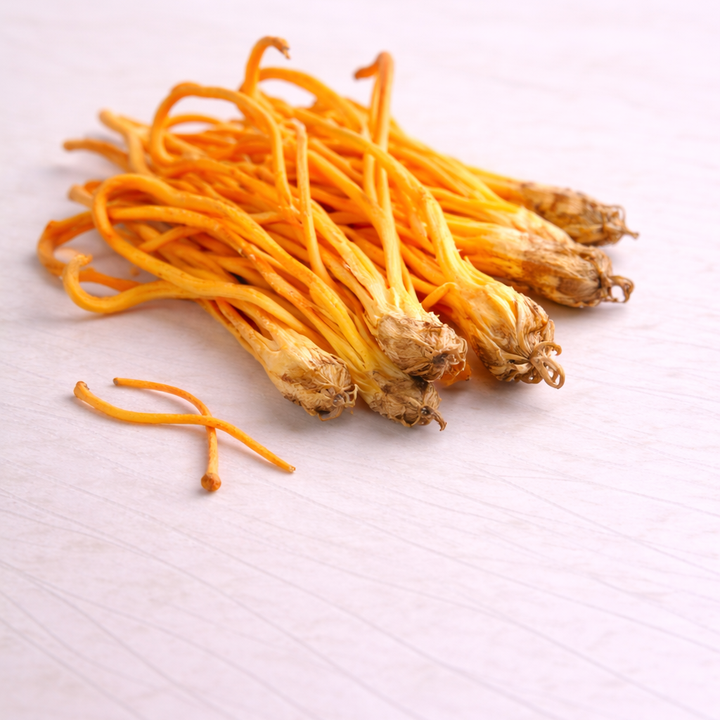 cordyceps mushroom extract
incicellar
cosmetic ingredient cordyceps