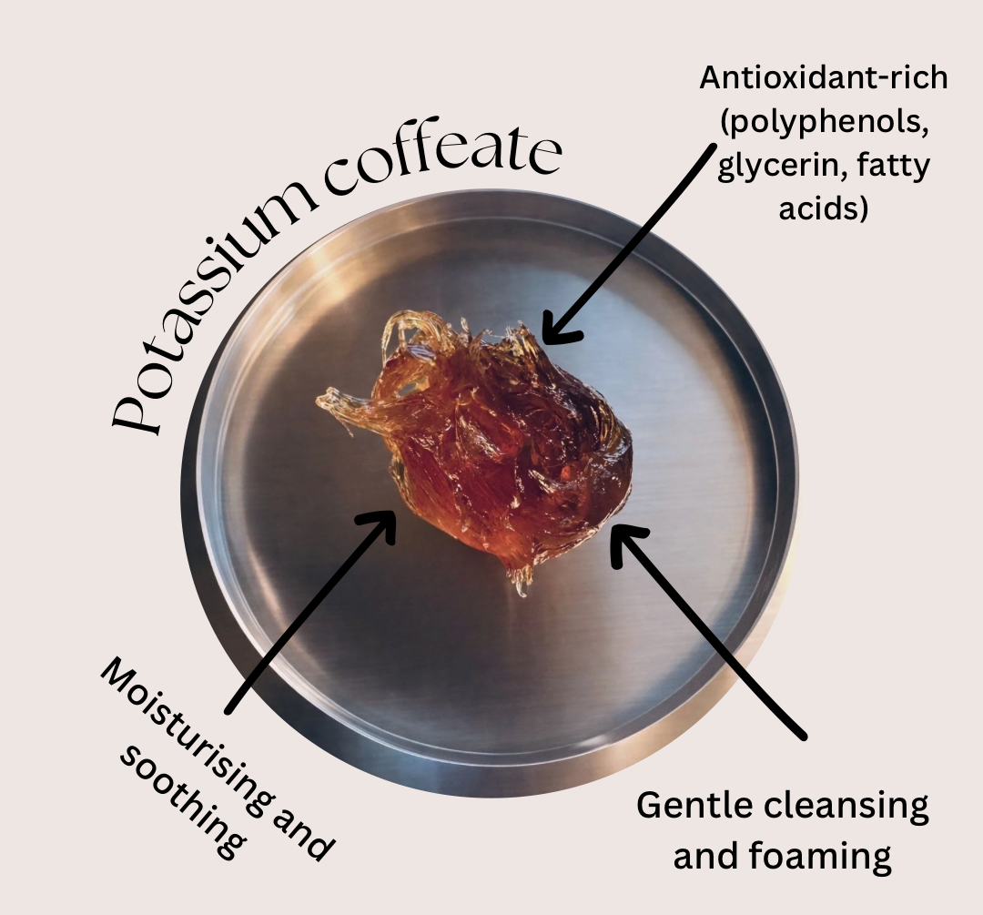 Diagram of potassium coffeate with labels on a neutral background