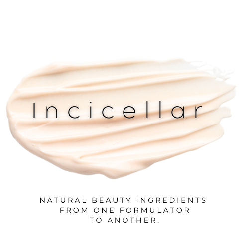 The Vision Behind Incicellar