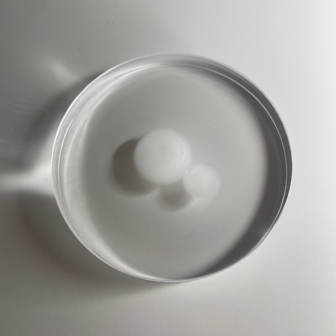Ceramide Fluid