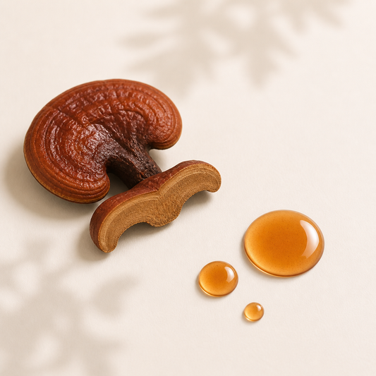 Fermented reishi extract incicellar 
reishi cosmetic ingredient 
cosmetic mushroom extract
reishi mushroom