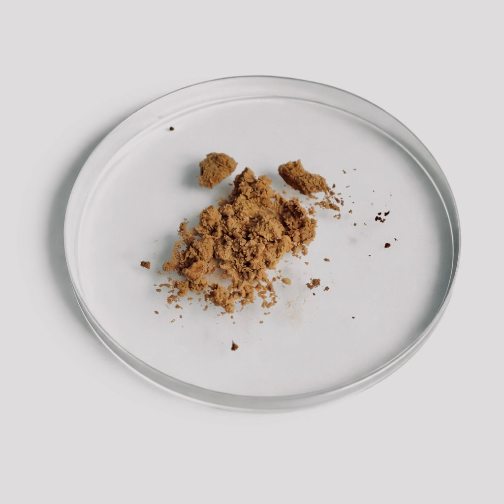 Reishi Mushroom Powder