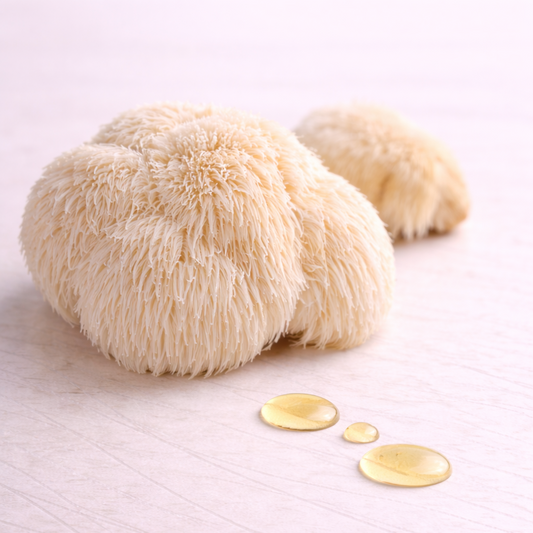 Lions mane extract oil soluble 
lions mane extract 
oil cosmetic
cosmetic extract
incicellar
lions mane mushroom