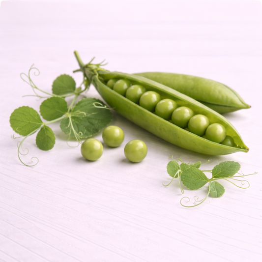 pea peptide
incicellar exclusive
incicellar cosmetic ingredient
pea extract 
pea peptide extract