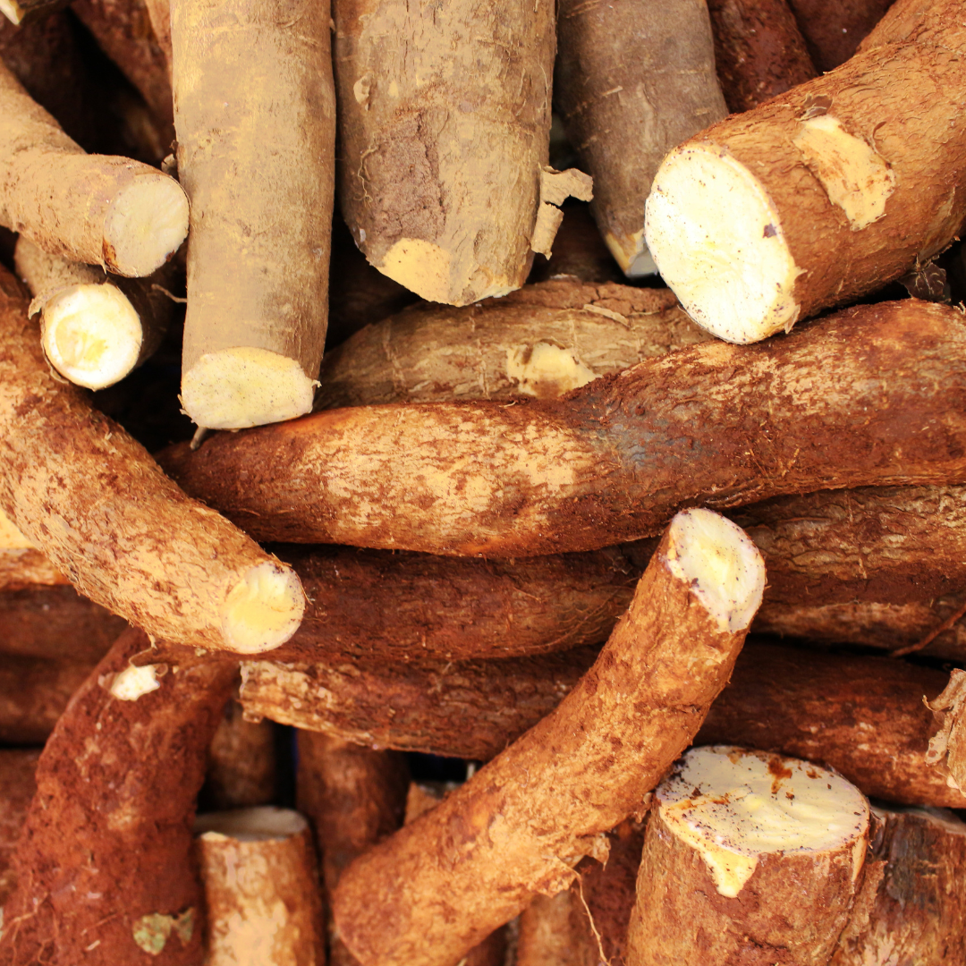 Natural Thickener&Gum - Prebiulin C90