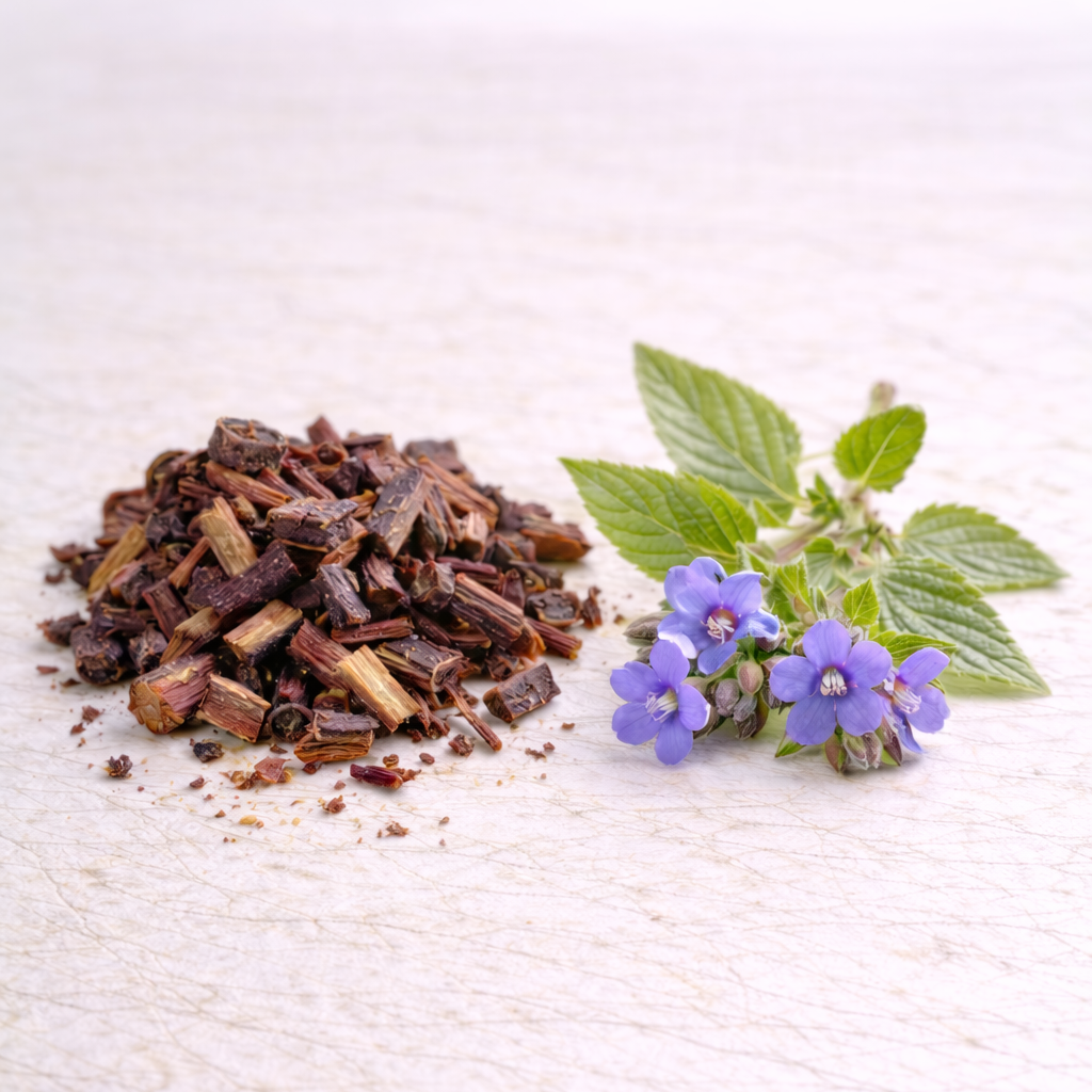 Dried alkanet root herbs and purple flowers on a textured white surface
alkanet root extract 
red pigment 
cosmetic
incicellar