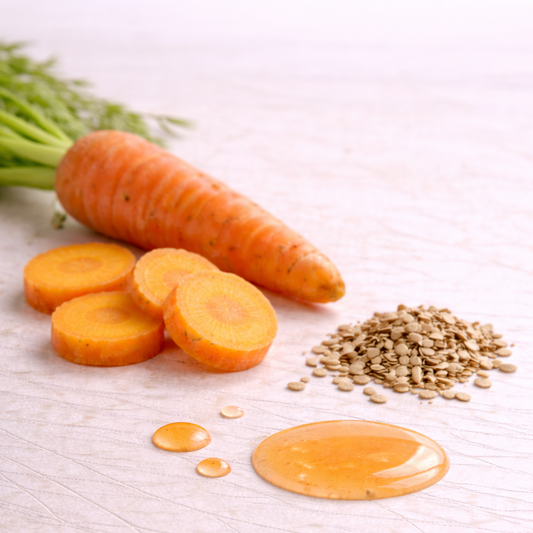 carrot concentrate extract
carrot root extract
carrot seed extract
incicellar
cosmetic ingredients