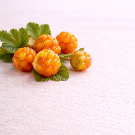 cloudberry extract 
cloudberries
oil soluble 
incicellar
cloudberry oil