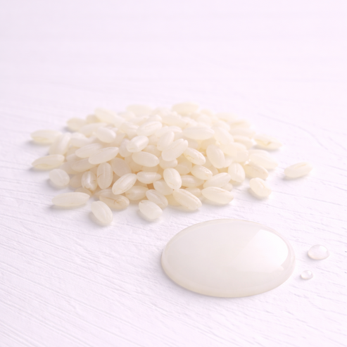 Fermented Rice Water – Incicellar