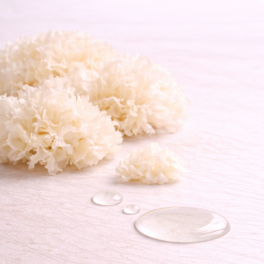 snow mushroom extract
snow mushroom 
cosmetic ingredients 
incicellar